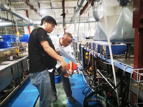 規(guī)范廠中廠服務(wù)小微園，樂(lè)清翁垟街道繃緊企業(yè)生產(chǎn)安全弦