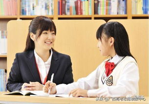 教育咨詢師 招生顧問 招生簡(jiǎn)章